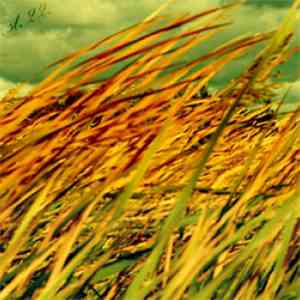 macabro - ST.22 flac album