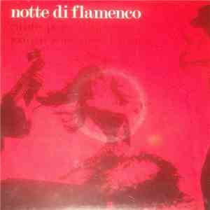 Pepe Urbina, Joaquin Servano - Notte Di Flamenco flac album