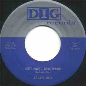 Sailor Boy - What Have I Done Wrong flac album