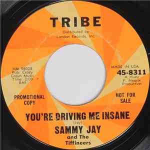 Sammy Jay  And The Tiffineers - You're Driving Me Insane / Never Let Me Go flac album