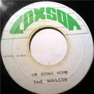 The Wailers - I'm Going Home / It Hurts To Be Alone flac album