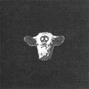 Ugly Aesthetics - Ugly Aesthetics flac album