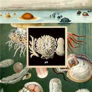 Various - Adecade Of Progrezo Records - Pt5 flac album