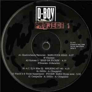 Various - D-Boy Project 1 flac album