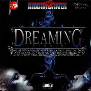 Various - Dreaming Riddim flac album