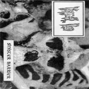 Virtual Void  - Sinister Barrier flac album