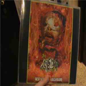 Vomitoma - Gestational Ascariasis / Dormant Deformations flac album