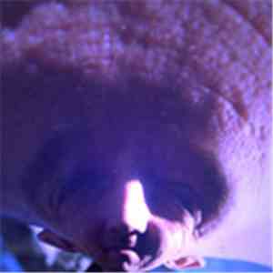 A Bit Crusher - When It Itches flac album