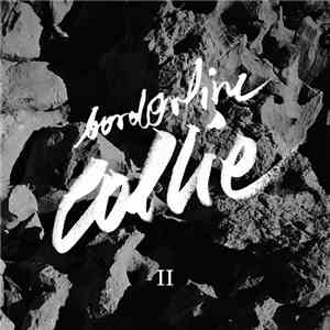 Borderline Collie - II flac album