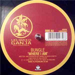 Bungle - Good Times / Where I Am flac album