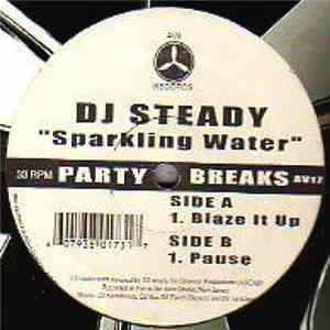 DJ Steady - Sparkling Water flac album
