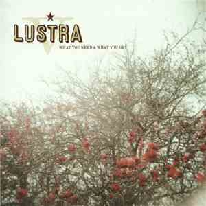 Lustra - What You Need & What You Get flac album