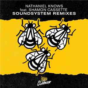 Nathaniel Knows Feat. Shamon Cassette - Soundsystem Remixes flac album