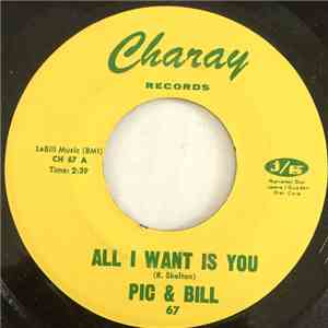 Pic & Bill - All I Want Is You flac album