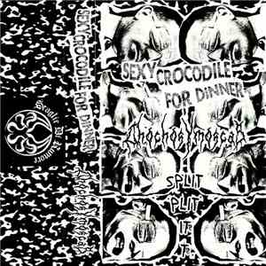 Sexy Crocodile For Dinner / Chochos Y Moscas - Split Plit It T flac album