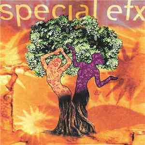 Special EFX - Here To Stay flac album