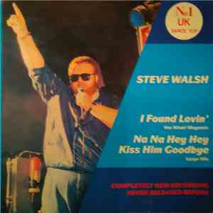 Steve Walsh  - I Found Loving flac album