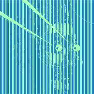 Sulumi - Call Black White (Sulumi Remix) flac album