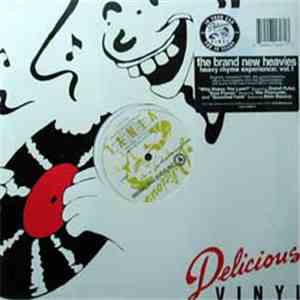 The Brand New Heavies - Heavy Rhyme Experience: Vol. 1 flac album