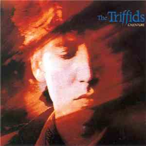 The Triffids - Calenture flac album