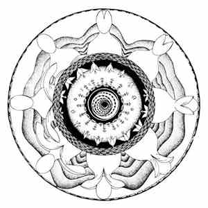 Thomas Barrandon - Body flac album