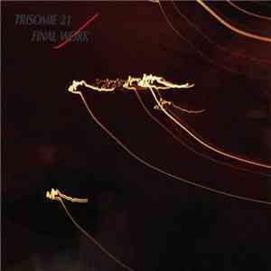 Trisomie 21 - Final Work flac album