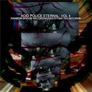 Various - Acid Police Eternal Volume 4 flac album
