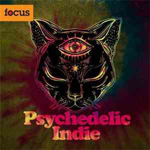 Various - Psychedelic Indie flac album