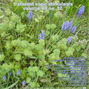 Various - Transient Sonic Stimulants Volume VII #32 flac album