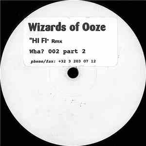 Wizards Of Ooze - Hi-Fi The Wizzards Of Ooze Remixed / Vinyl 02 flac album