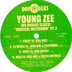 Young Zee - Musical Meltdown Pt. 2 flac album