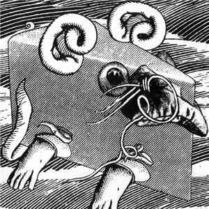A Mouse Orchestra - A Lump In Your Throat flac album