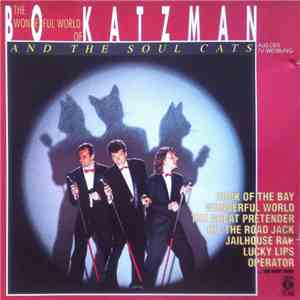 Bo Katzman And The Soul Cats - The Wonderful World Of The Soul Cats flac album