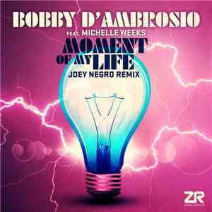 Bobby D'Ambrosio Feat. Michelle Weeks - Moment Of My Life (Joey Negro Remix) flac album