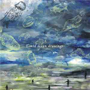 Dasha Rush - Timid Ocean Drawings flac album