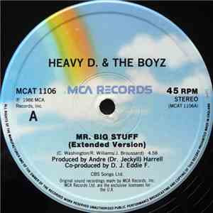 Heavy D. & The Boyz - Mr. Big Stuff flac album