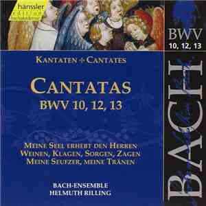 Johann Sebastian Bach - Bach-Ensemble, Helmuth Rilling - Cantatas BWV 10,12,13 flac album