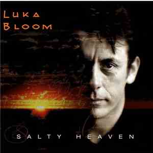 Luka Bloom - Salty Heaven flac album