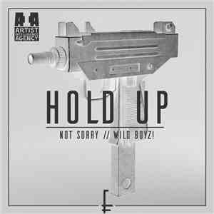 Not Sorry  // Wild Boyz! - Hold Up flac album