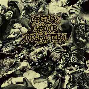 Orgasm Grind Disruption - Detest flac album