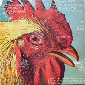 Pavement - Watery, Domestic flac album