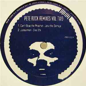Pete Rock - Remixes Vol. 2 flac album