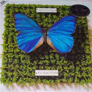 Schmetterlinge - Die Letzte Welt flac album