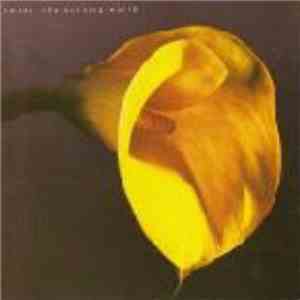 Swans - The Burning World flac album
