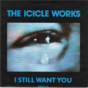 The Icicle Works - I Still Want You flac album