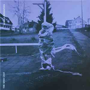 The Seed Coat - Gentle Mindspeed flac album
