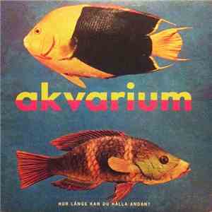 Unknown Artist - Akvarium 90 02 24 flac album