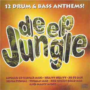 Various - Deep Jungle - 12 Drum & Bass Anthems flac album