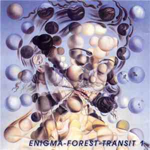 Various - Enigma-Forest-Transit 1 flac album