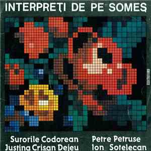 Various - Interpreți De Pe Someș flac album